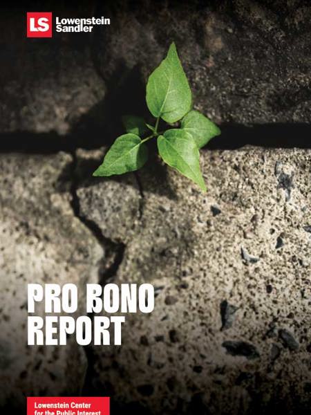 2024 Pro Bono Report